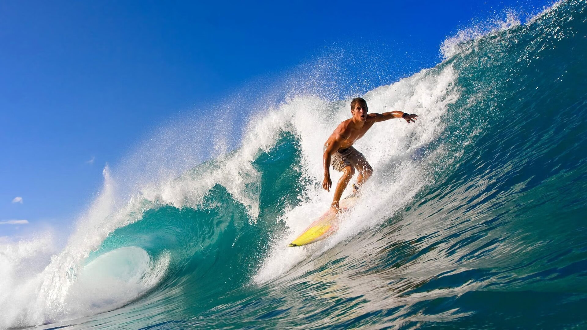 自然探险穿越赛，野外冒险挑战生存技能，全世界孩子都想上的自然探险课